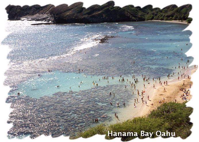 hanamabay.jpg